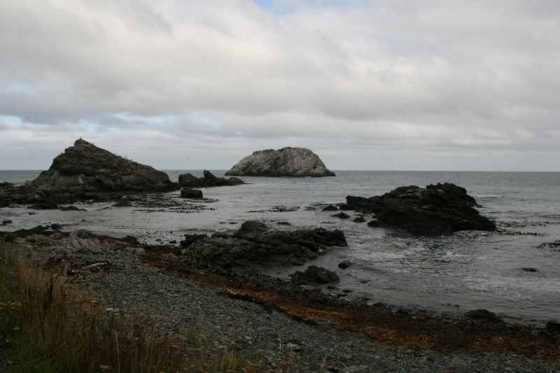 Nieuw-Zeeland 2011 - 1187